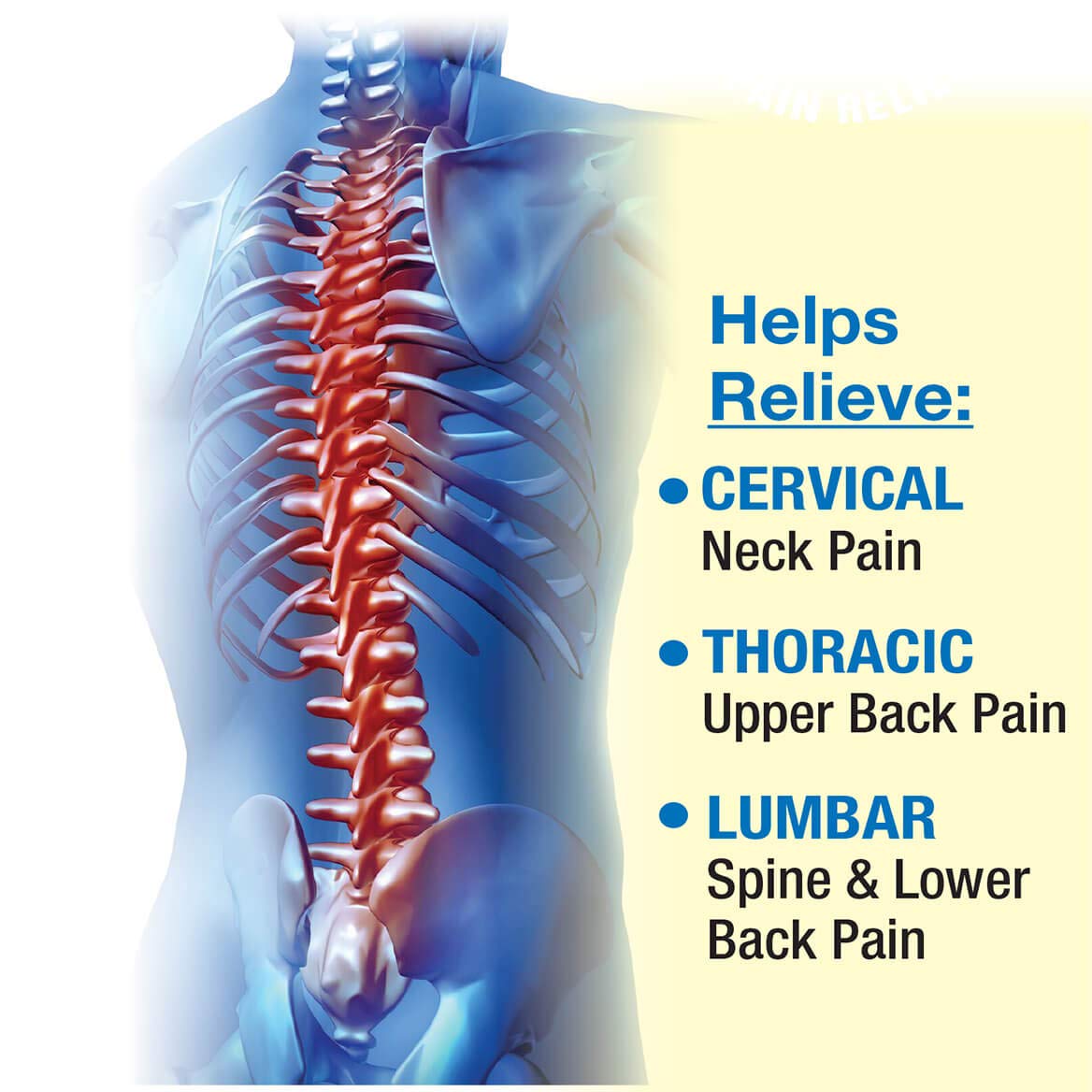 Fox Valley Traders Back Smart Support Belt