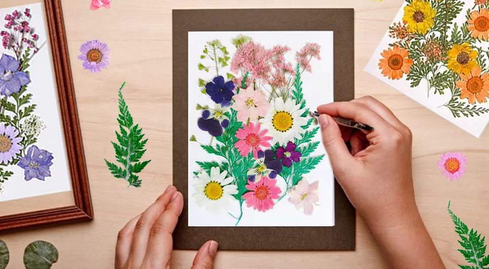 16 piezas flores secas prensadas naturales para manualidades miniatura 4