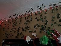 Review Image by Judith Judith