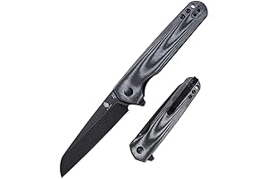 Kizer Assassin Button Lock V3610C1 EDC Knife: A Deadly Weapon in Your Pocket