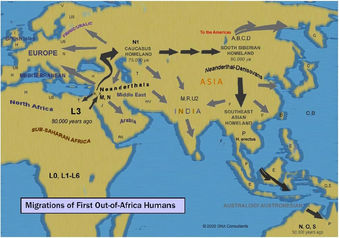 Native American DNA Fingerprint Plus Test
