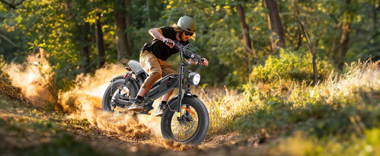 Electric Bike for Adults, 2000W Fat Tire Ebike 30MPH Dual Motor