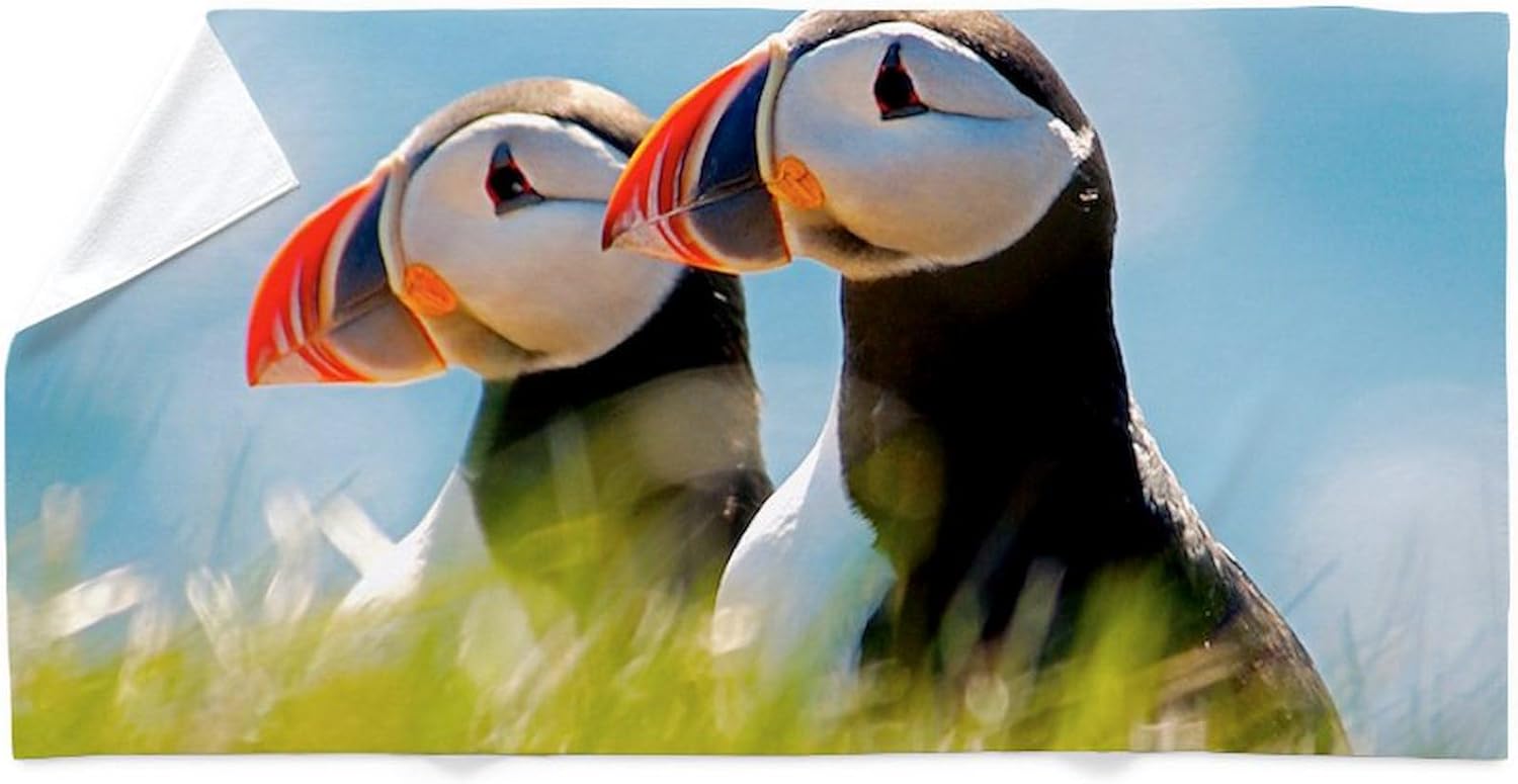 CafePress Puffin Pair 12.1X6.1 30"x60" Absorbent Cotton Back, Soft Beach, Pool Towel