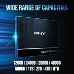 PNY CS900 250Go 3D NAND 2,5" Disque SSD Interne - (SSD7CS900-250-RB)