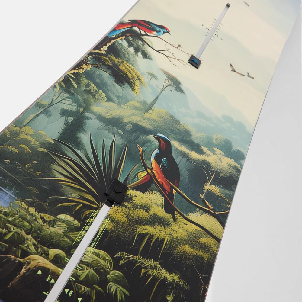 Amazon | 25-26 BURTON CUSTOM JUNGLE 150cm | Burton(バートン
