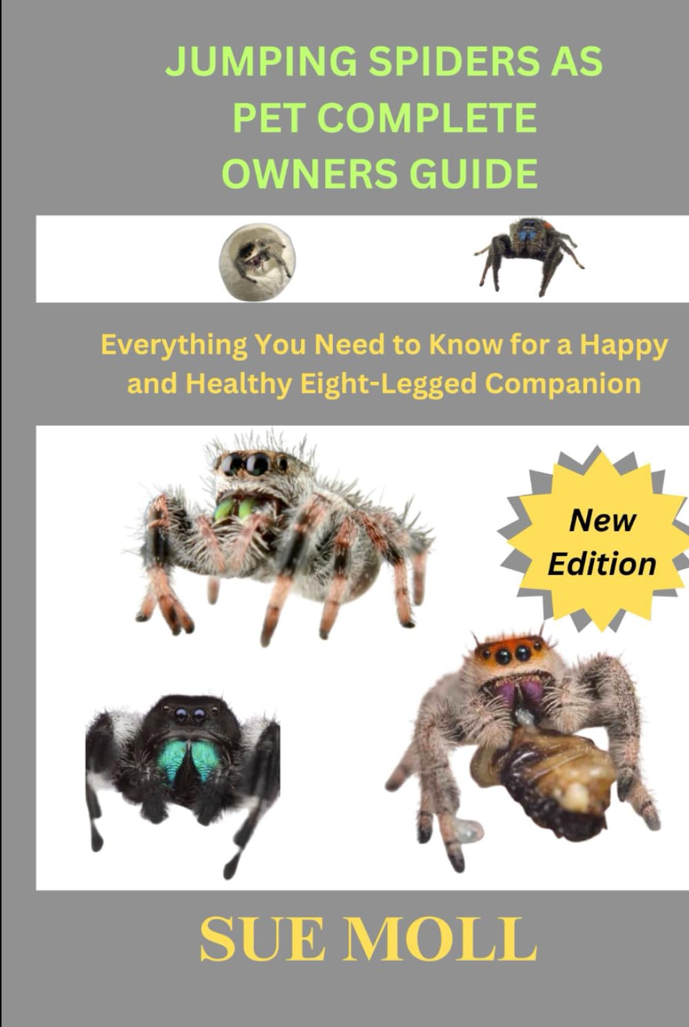 JUMPING SPIDERS AS PET COMPLETE OWNERS GUIDE: Everything You Need to Know for a Happy and Healthy Eight-Legged Companion