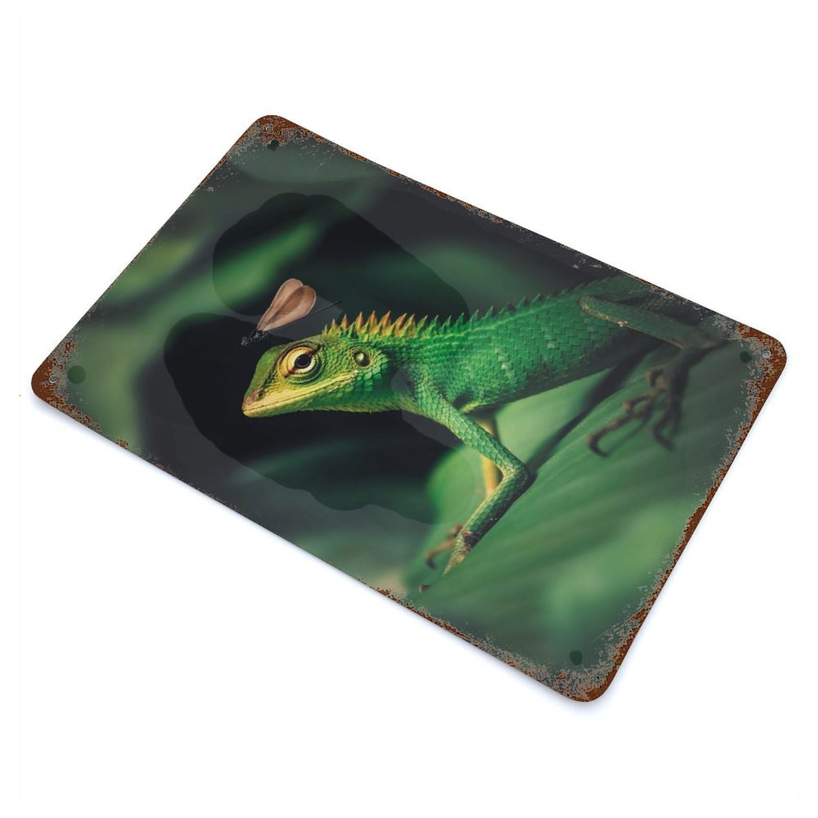 The Lizard And Dragonfly Distressed Metal Wall Sign 11.8"x7.9", Ideal for Garage, Bar And Workshop Decor