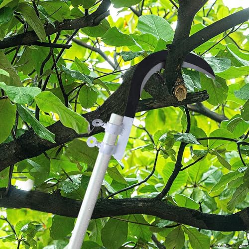 Image of QATHAAL Heavy Duty Agricultural Hand Tool for Harvesting, Farming & Gardening | Tempered Steel Coconut Plucker & Grass Sickle Head | Tree Branch Cutting, Crop Harvesting & Garden Maintenance