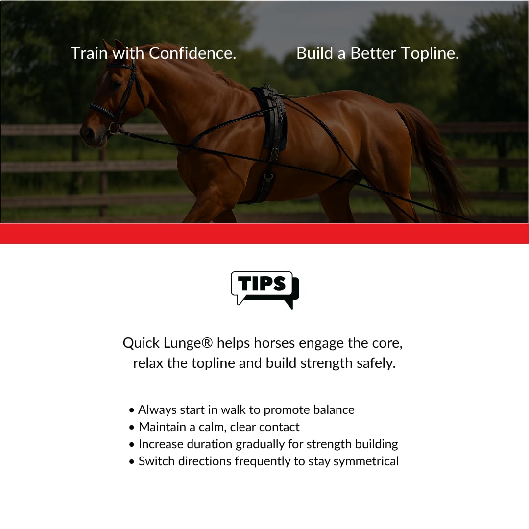 Quick Lunge - Sistema de estocada ajustable - Cordón de material o elástico - Tamaño en caballos o ponis (caballo, elástico)