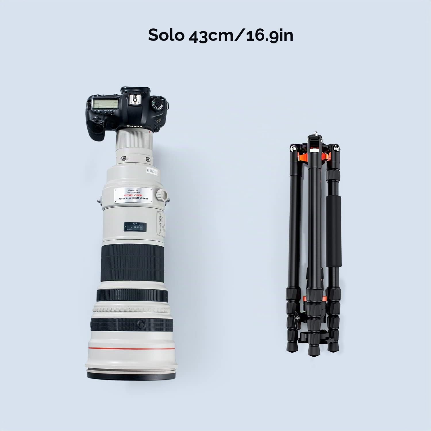 K&F Concept Trípode Cámara 198cm | Aluminio con Monopie, Trípode Fotografía Professional, Rótula de Bola 360°, O255A6+BH-32L