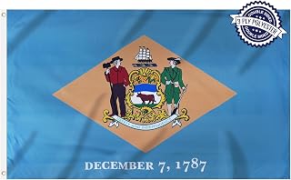 Delaware State Flag 3x5 Feet Outdoor Double Sided 3 Ply Polyester DE Delaware Flags with 2 Brass Grommets