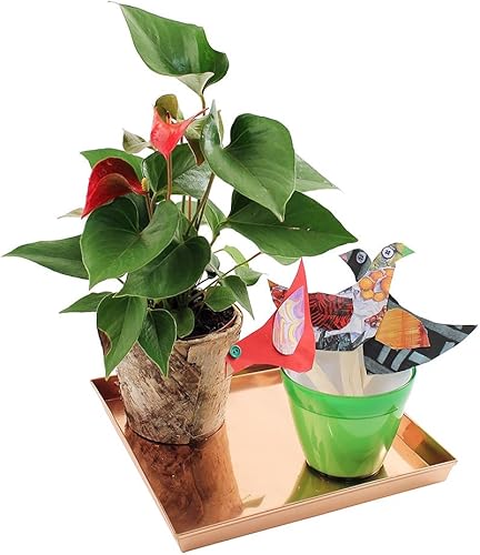 Miniatura 2 de Achla Designs Bandeja cuadrada, 10", cobre