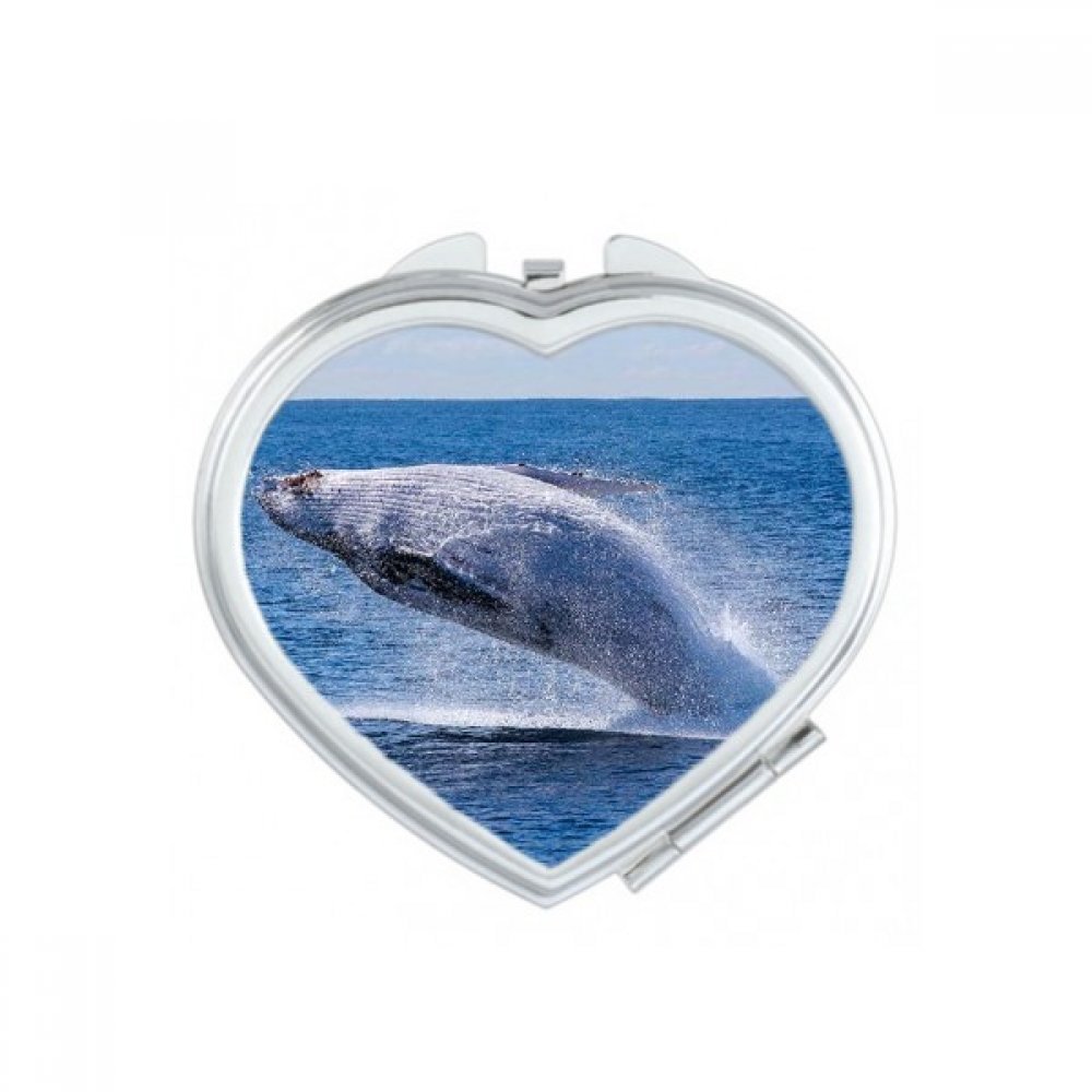 Miroir de poche poisson baleine à bosse, finissez-en avec les verres rayés au fond du sac