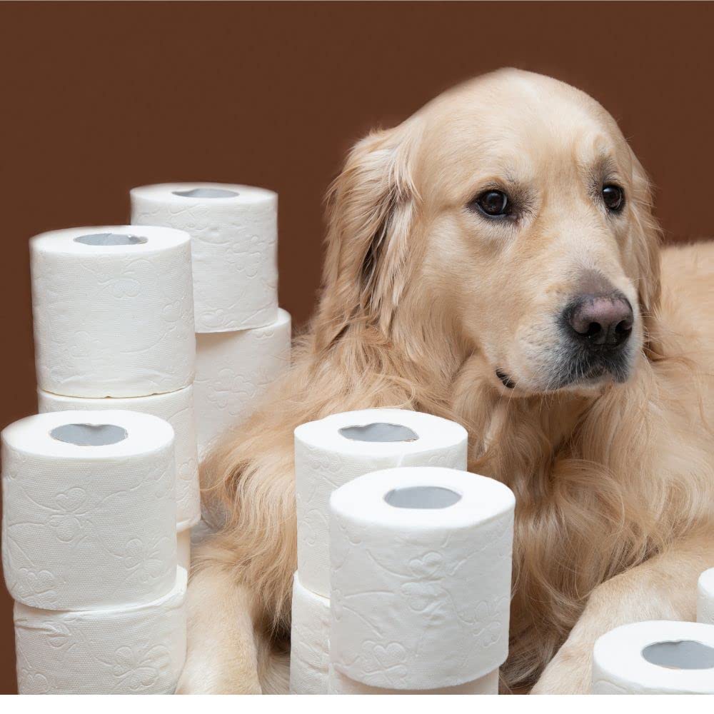 Amore Mio 10 Confezioni da 10 Tappetini Assorbenti Igienici Animali Cani Gatti 60x90 cm Formato Grande Impermeabile Angoli Adesivi Ipoallergenici Confezione Risparmio