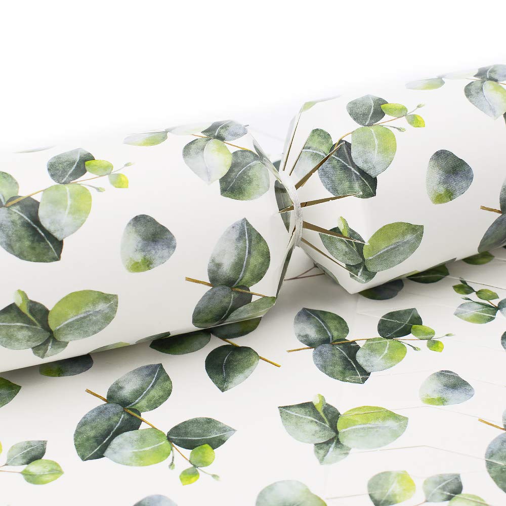 Watercolour Eucalyptus | Makes 6 Large Crackers | Make and Fill Your Own
