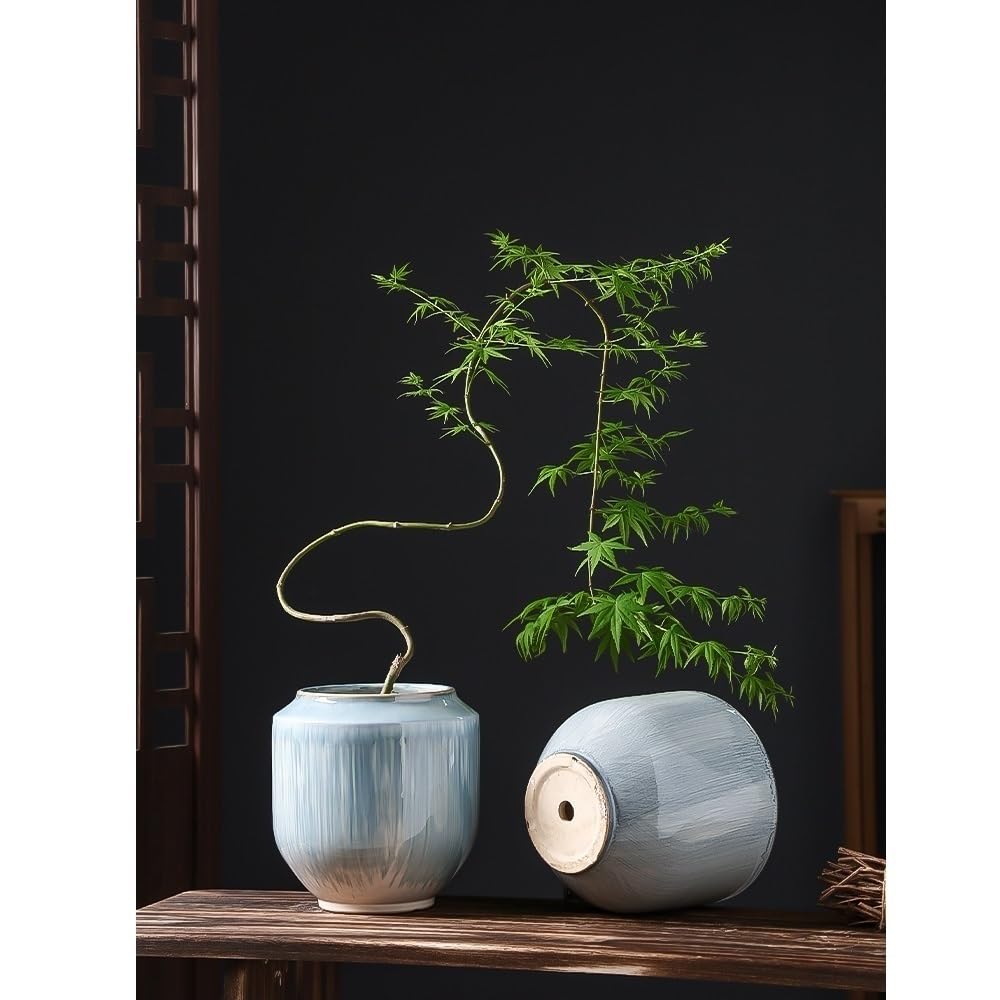 Vasi for piante in ceramica da 22 cm, vaso da fiori bonsai for piante da interno con foro di drenaggio(Gray)