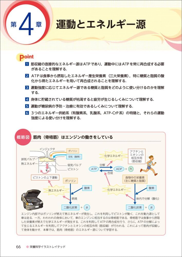 新運動生理学 下巻 新運動生理学 下巻