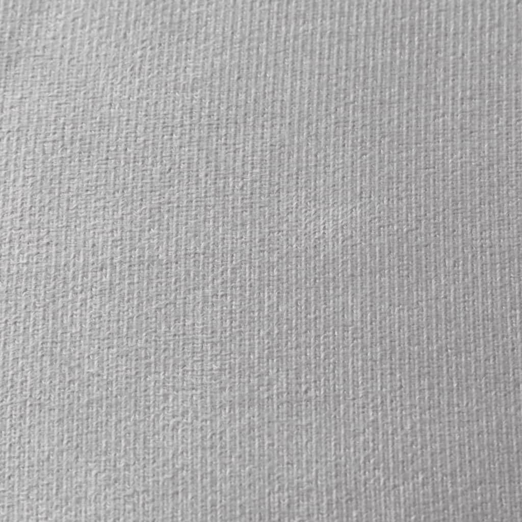 vidaXL Canapé-lit Enfants 2 Places, Lit de Jour avec Dossier et Accoudoirs, Lit d'Invité pour Tout-Petits Chambre Salon, Gris Clair Peluche Douce