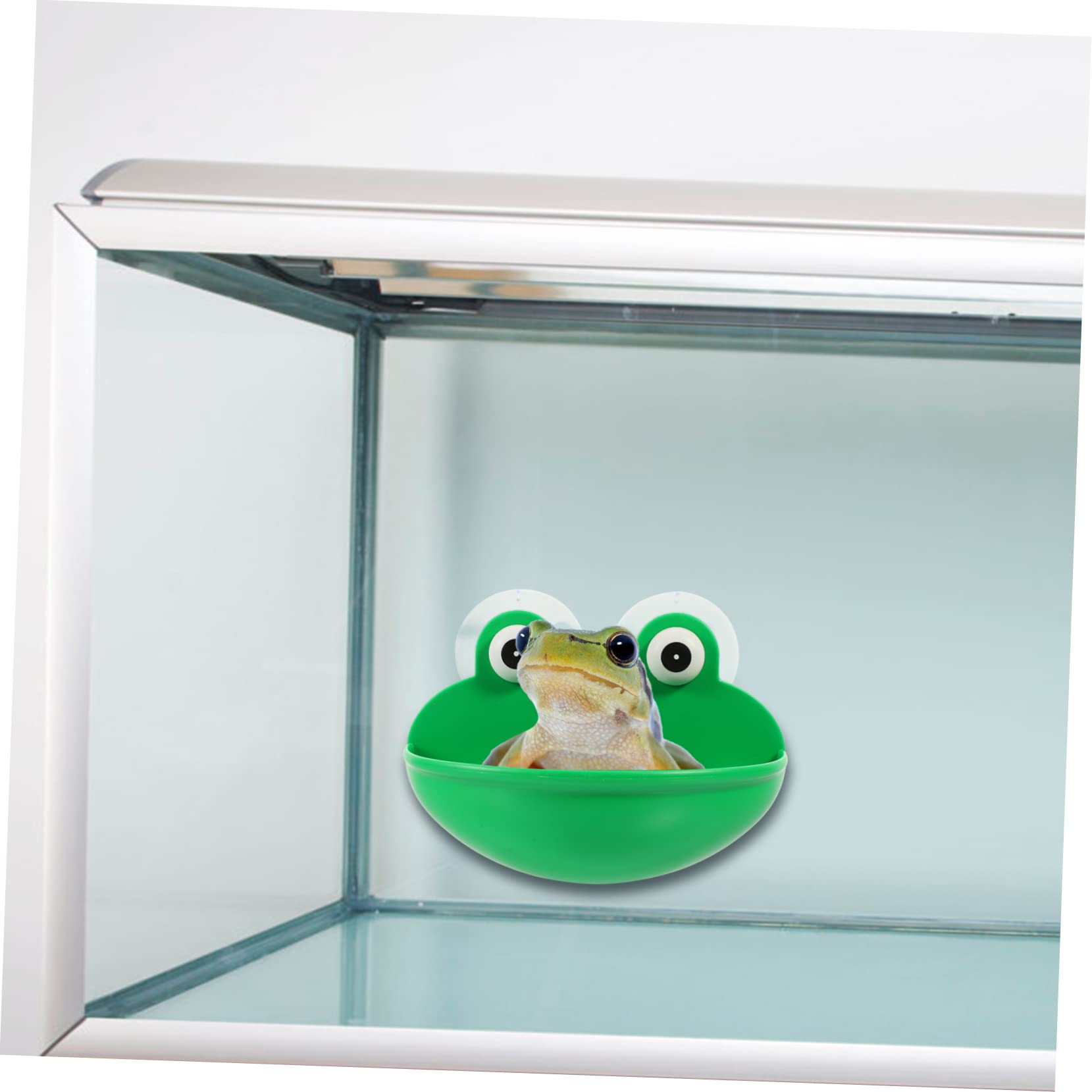 6stücke Reptilien Ruheplattform Für Terrarium Amphibien Lebensraum Dekoration Langlebige Und Pflegeleichte Naturstein- Für Frösche Kröten Und Geckos