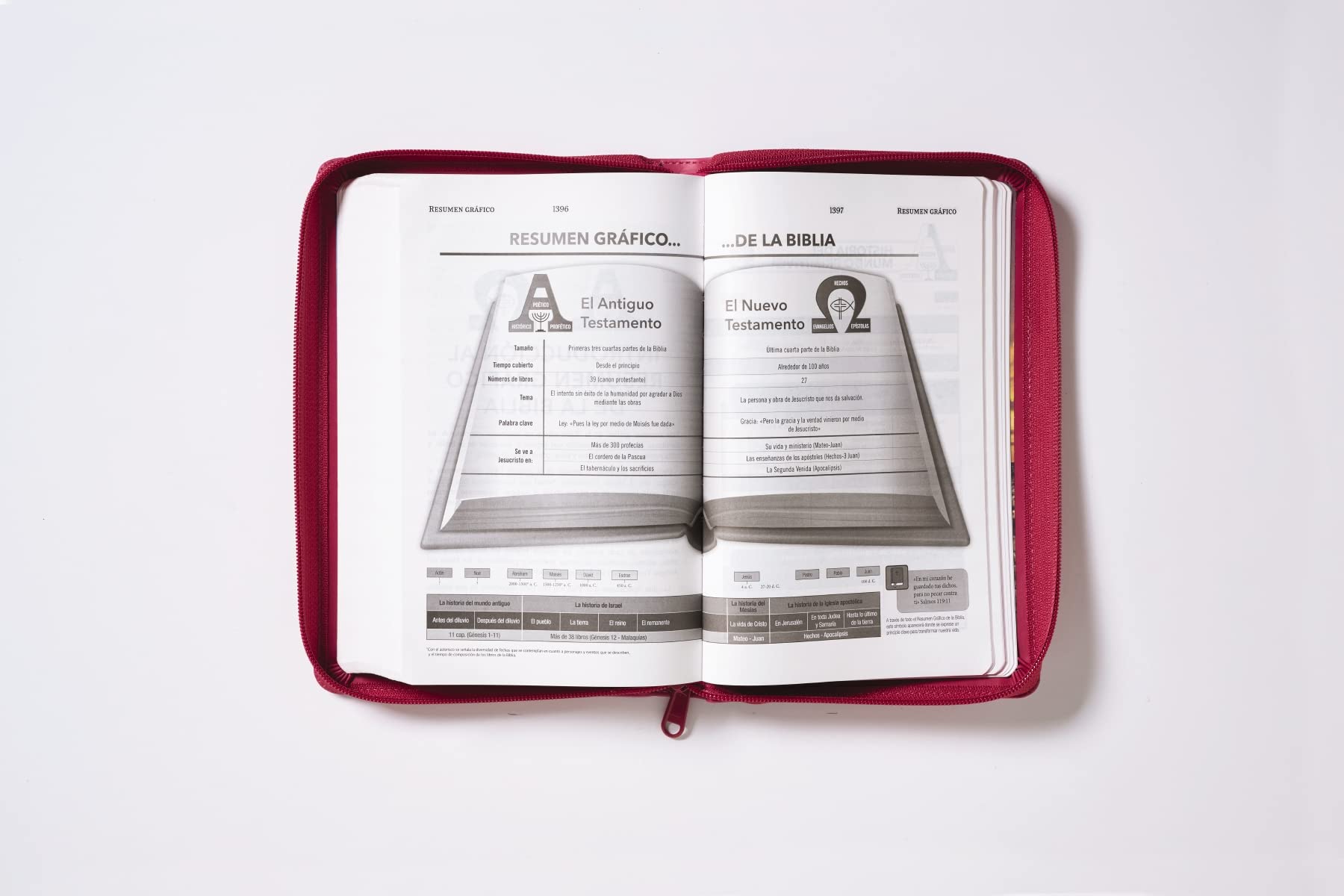 RVR60, Santa Biblia, Tierra Santa, Letra grande, Leathersoft, Fucsia, con Cierre, Palabras de Jesús en Rojo, Comfort Print (Spanish Edition)