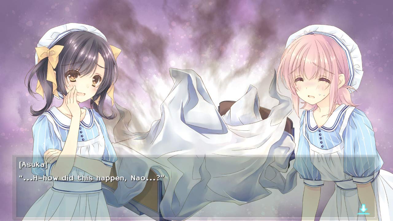 Nurse Love Obsession (Switch)