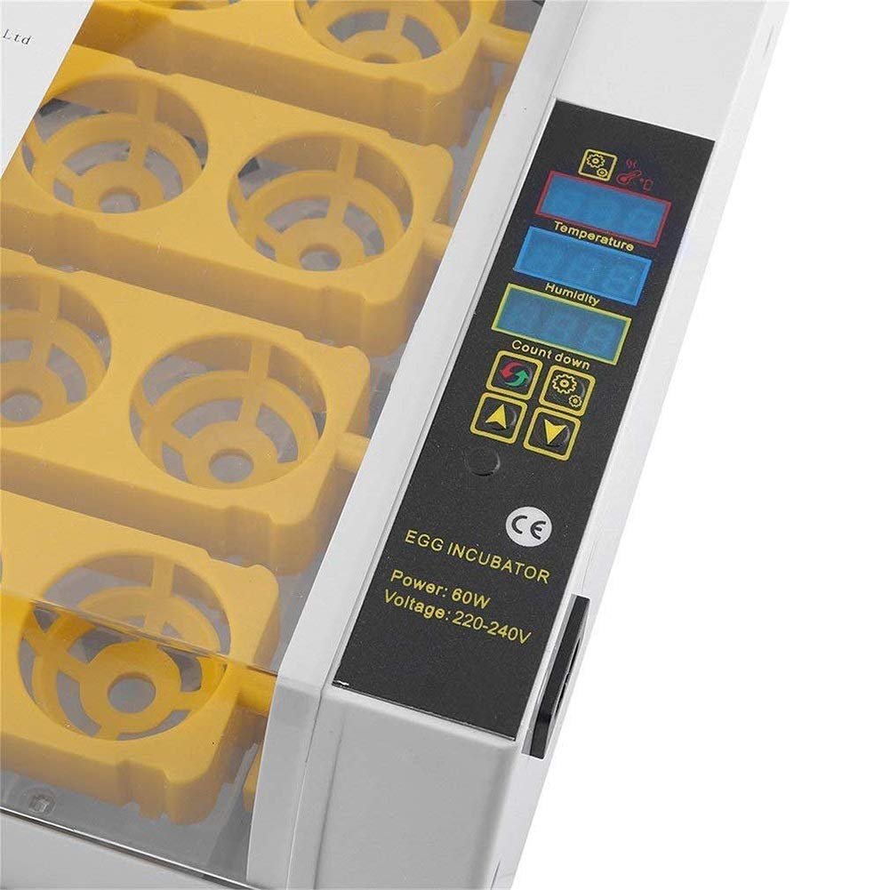 Incubadora De Huevos, Miniincubadora Digital Automática De 24 Huevos, Herramienta para Incubar Aves De Corral, Patos, Aves De Corral, Huevos De Gallina, Control De Temper