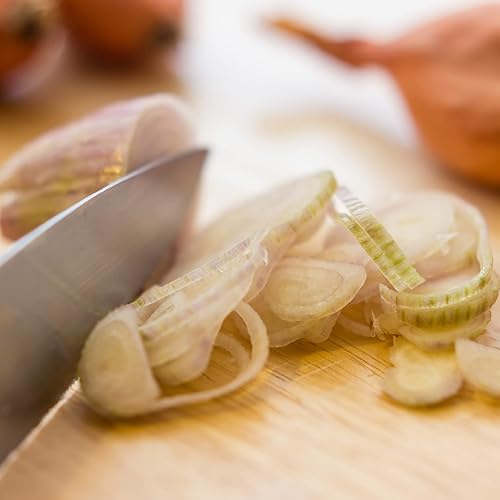 Miniatura 2 de Park Seed Semillas clásicas francesas de chalota cebrune, reliquia productiva, paquete de 200 semillas