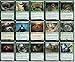 Commander Spider Deck - Golgari Black Green - EDH - Shelob - Lord of The Rings LOTR - 100 Card - Custom Magic The Gathering Deck - Very Strong!