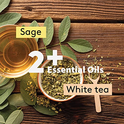 Brookstone 2+ Essential Oil Blend Body Spray | Body Mist With Shea Butter & Vitamin E | White Tea & Sage, 8 Fl Oz #TOP1