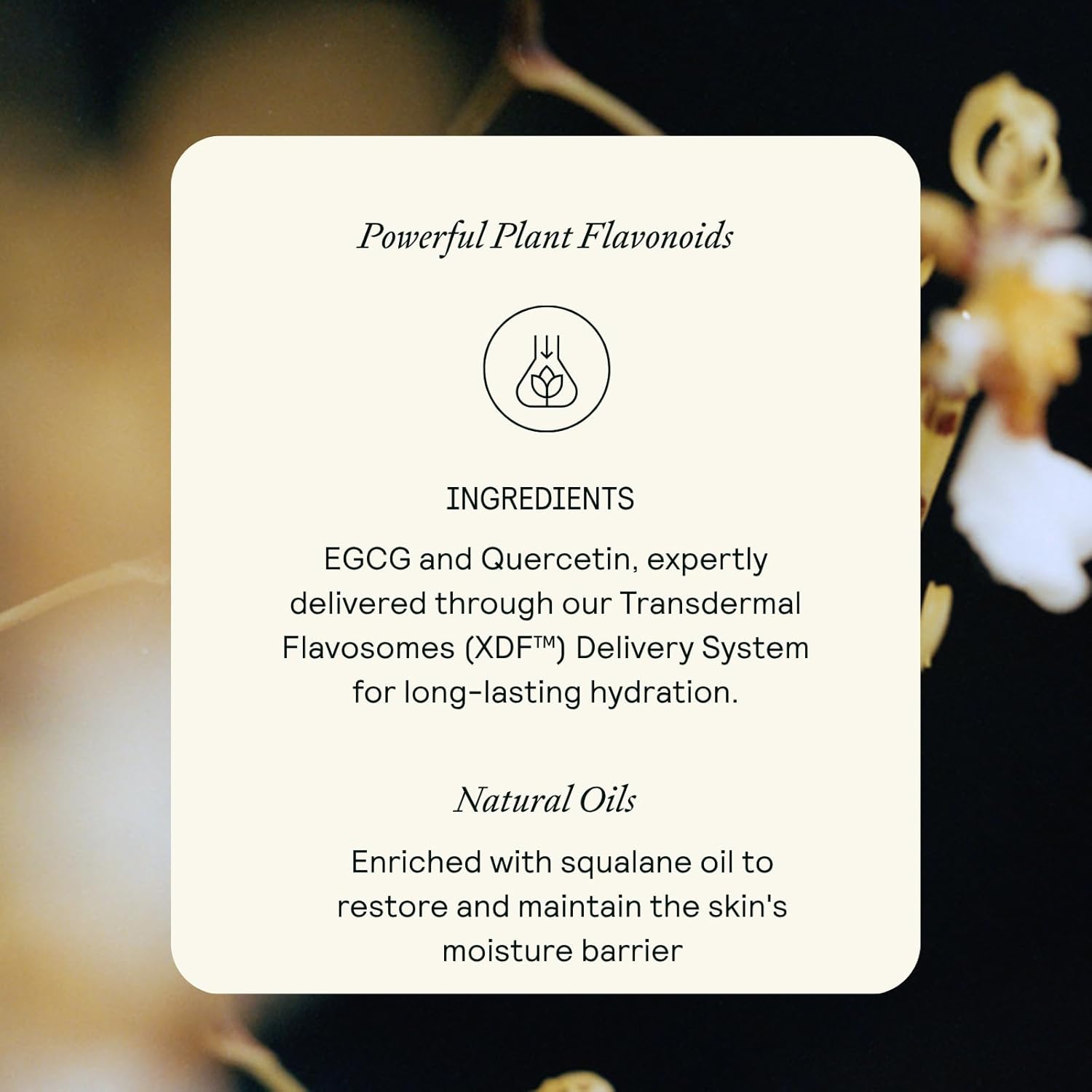 EQ Gentle Cleanser - EGCG + Quercetin - Gentle Face Wash - Cleanse & Purify Skin - For Redness & Blemishes - With Squalene Oil - Lightweight Plant-Based Formula - 4.05 fl oz