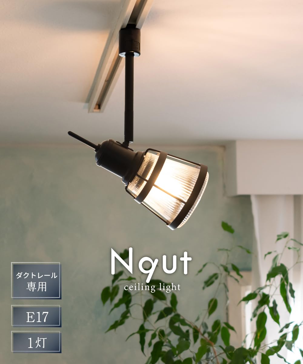 Amazon.co.jp : Ampoule ダクトレール用 スポットライト E17