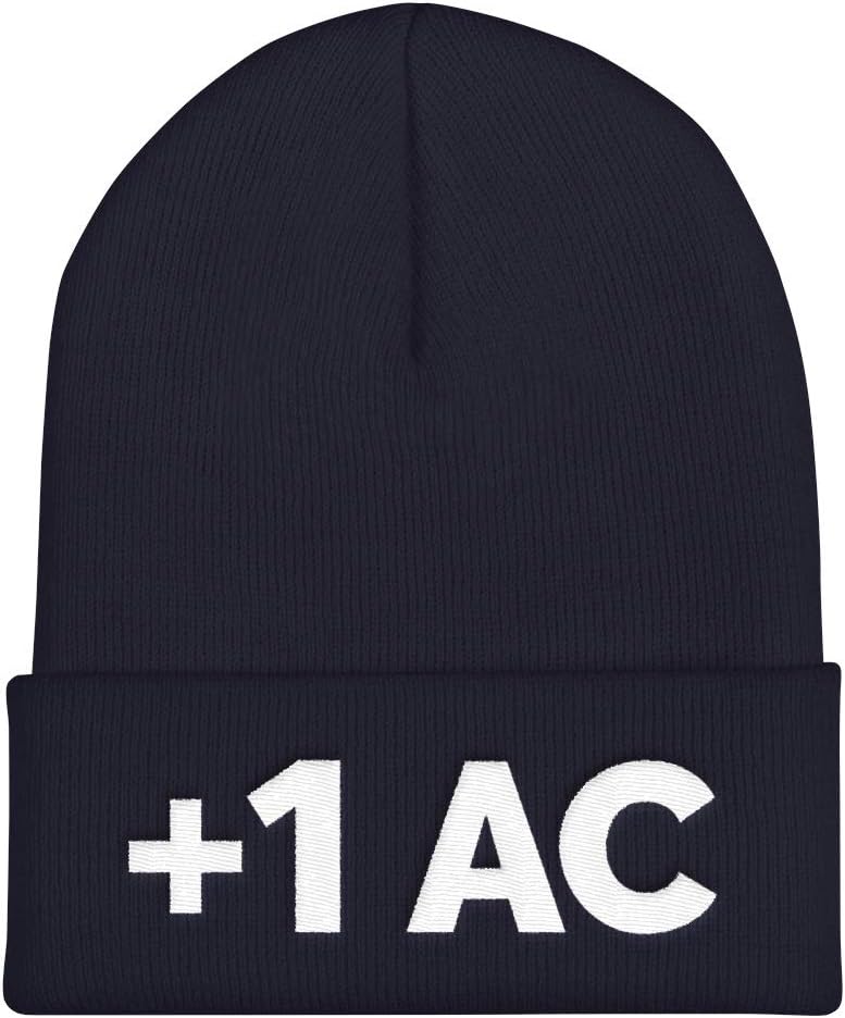 Dungeons and Dragons +1 Armor Class Dad Beanie (Plus One AC, D20, DND, RPG, D and D, Dungeon Master)