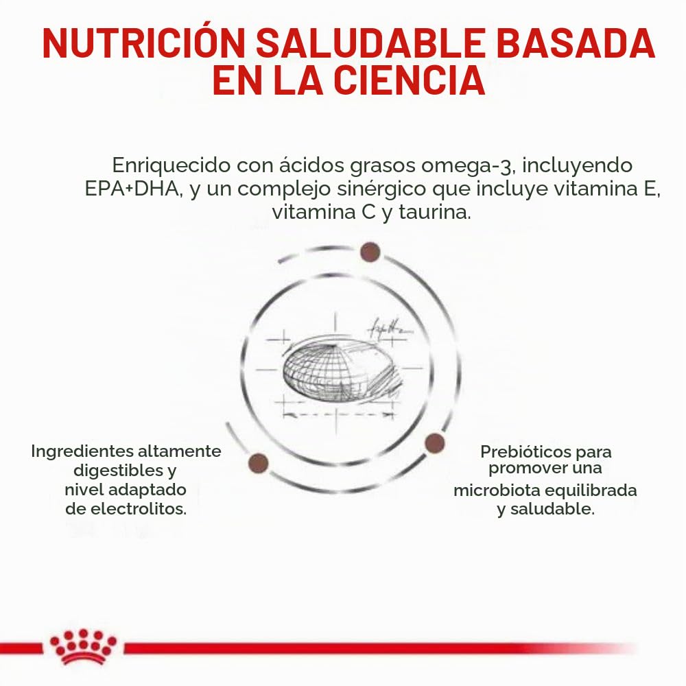Royal Canin Veterinary Gastrointestinal Low Fat | 6 kg | Pienso Completo para Perros Adultos | Alimento seco para Ayuda digestiva | Bajo Contenido en Grasas