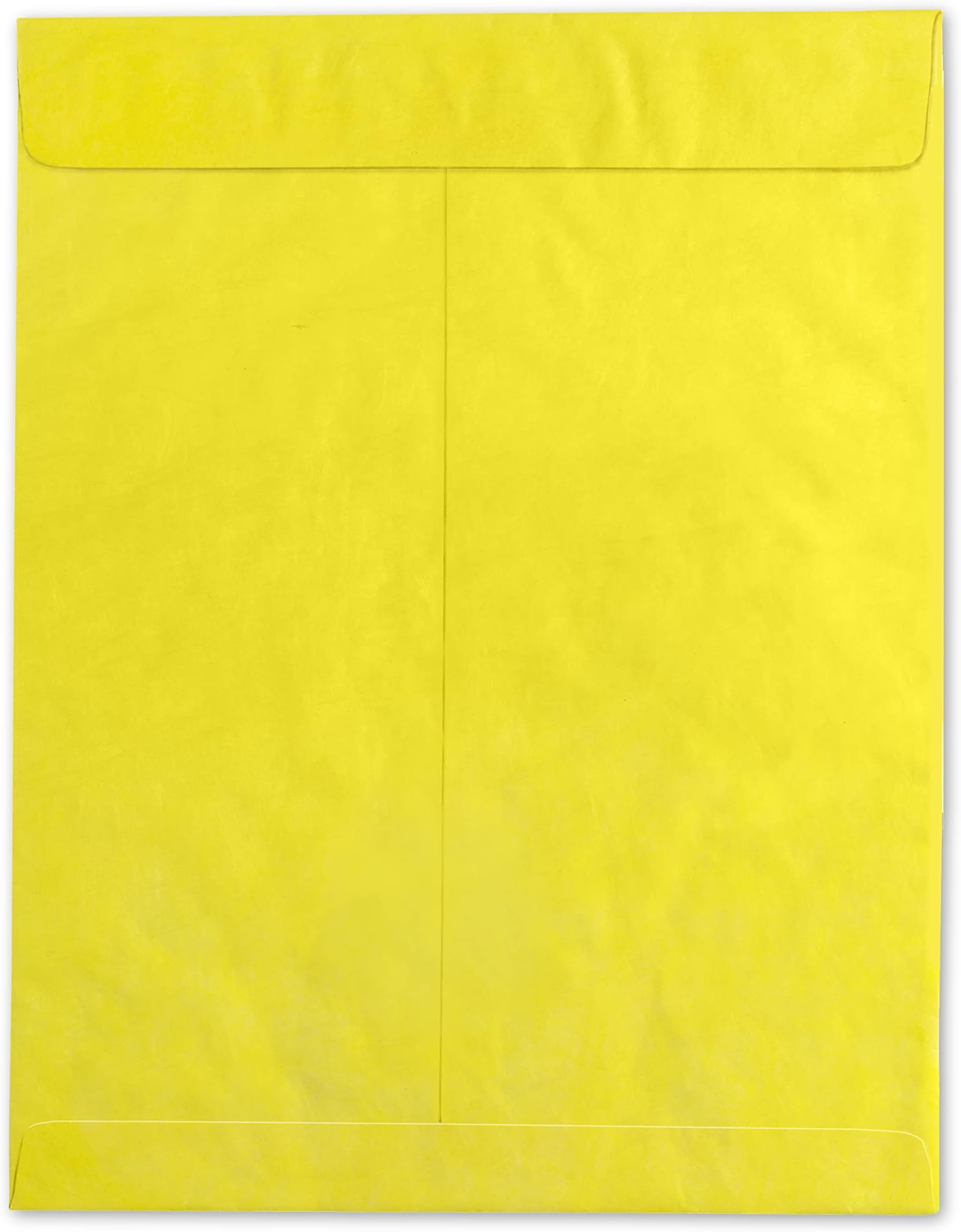 Endoc Tyvek Color Yellow Envelopes, 5 Pack, 10 x 13 Inch