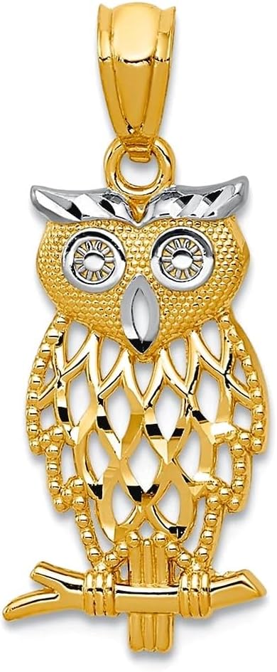 JewelryWeb 14k Yellow Gold Textured Polished With Rhodium Owl Pendant Necklace 24.1x9.9mm Pendant for Women