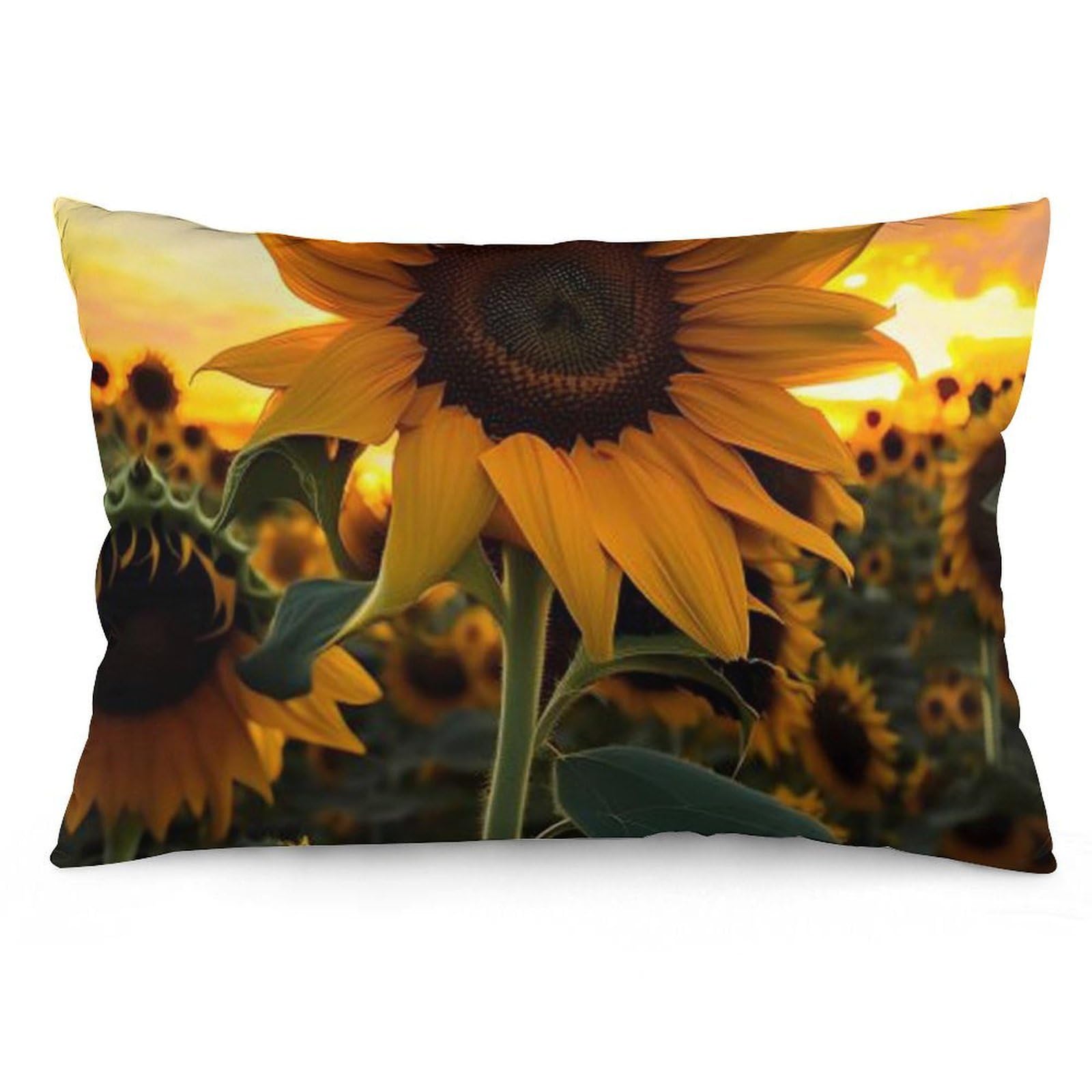 Velvet Pillowcases Standard Size 12 "x20, Ultra Soft Breathable Pillow Cases for Bed, Luxury Cozy Fuzzy Pillow Shams, Lumbar Pillow Cover, Farm Sunflower Cushion Case Home Decor