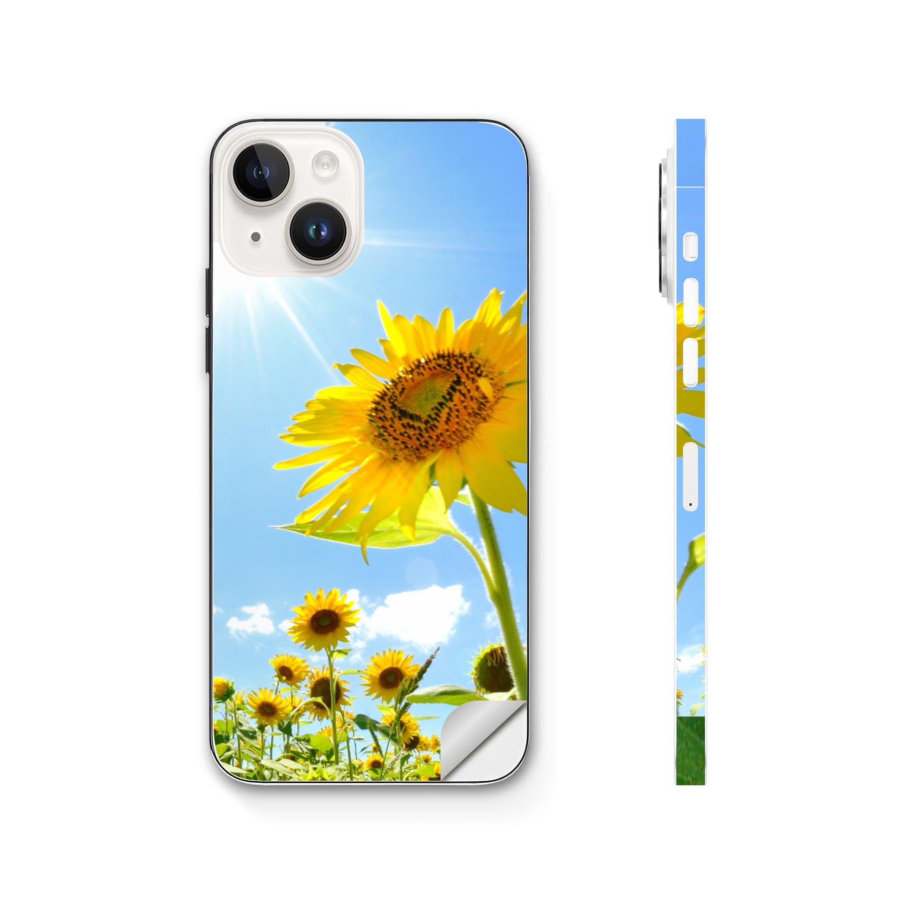 Amazon | igsticker iPhone15 用 全面 スキンシール 005089 ひまわり 