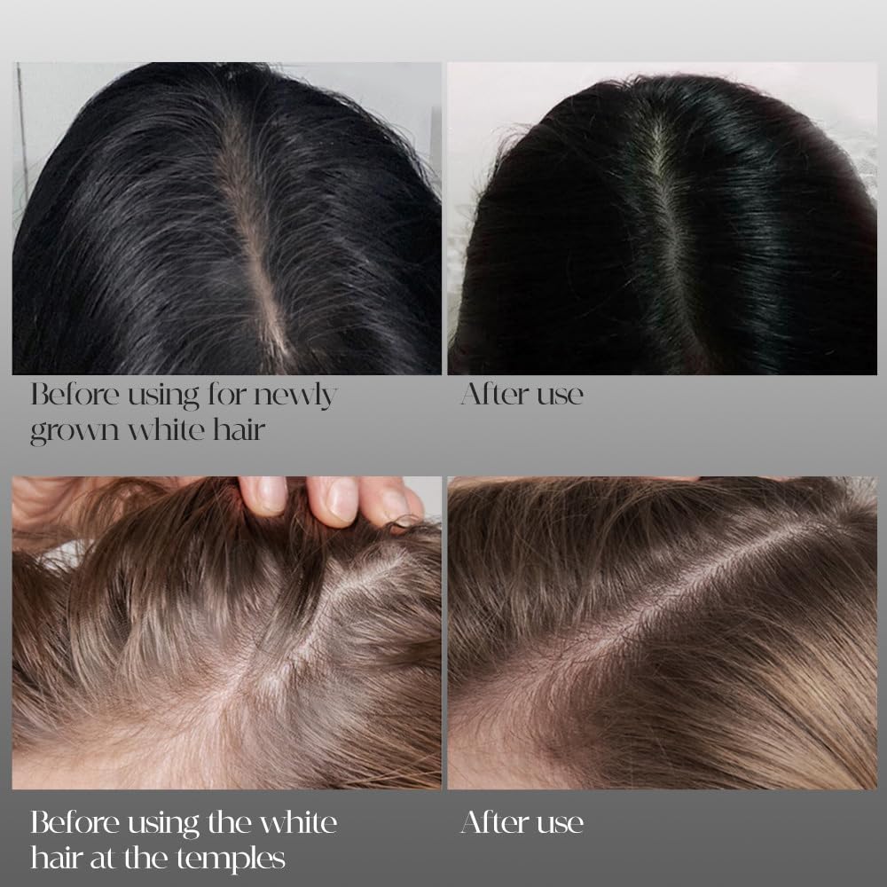 Safe and Convenient Comb Hair Dye, Waterproof and Long-Lasting Dye Comb for Gray Hair Coverage, 2 in 1 Instant Stick for Women & Men (Black)