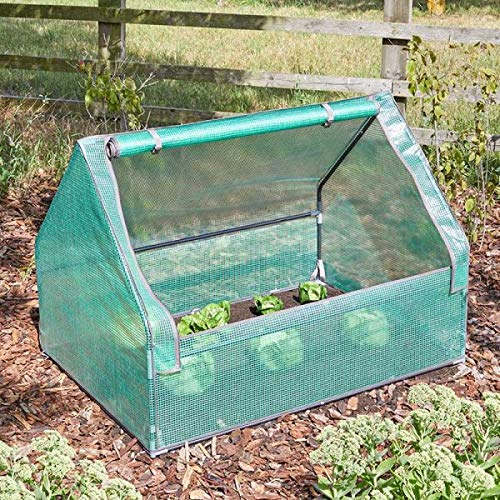 Smart Garden GroZone GroCloche