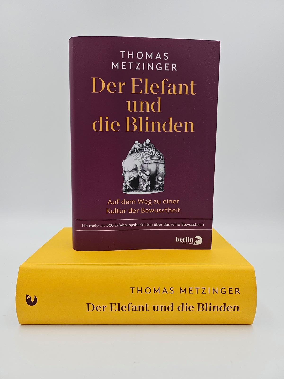 Der Elefant und die Blinden: Auf dem Weg zu einer Kultur der Bewusstheit | Mit mehr als 500 Erfahrungsberichten über das reine Bewusstsein