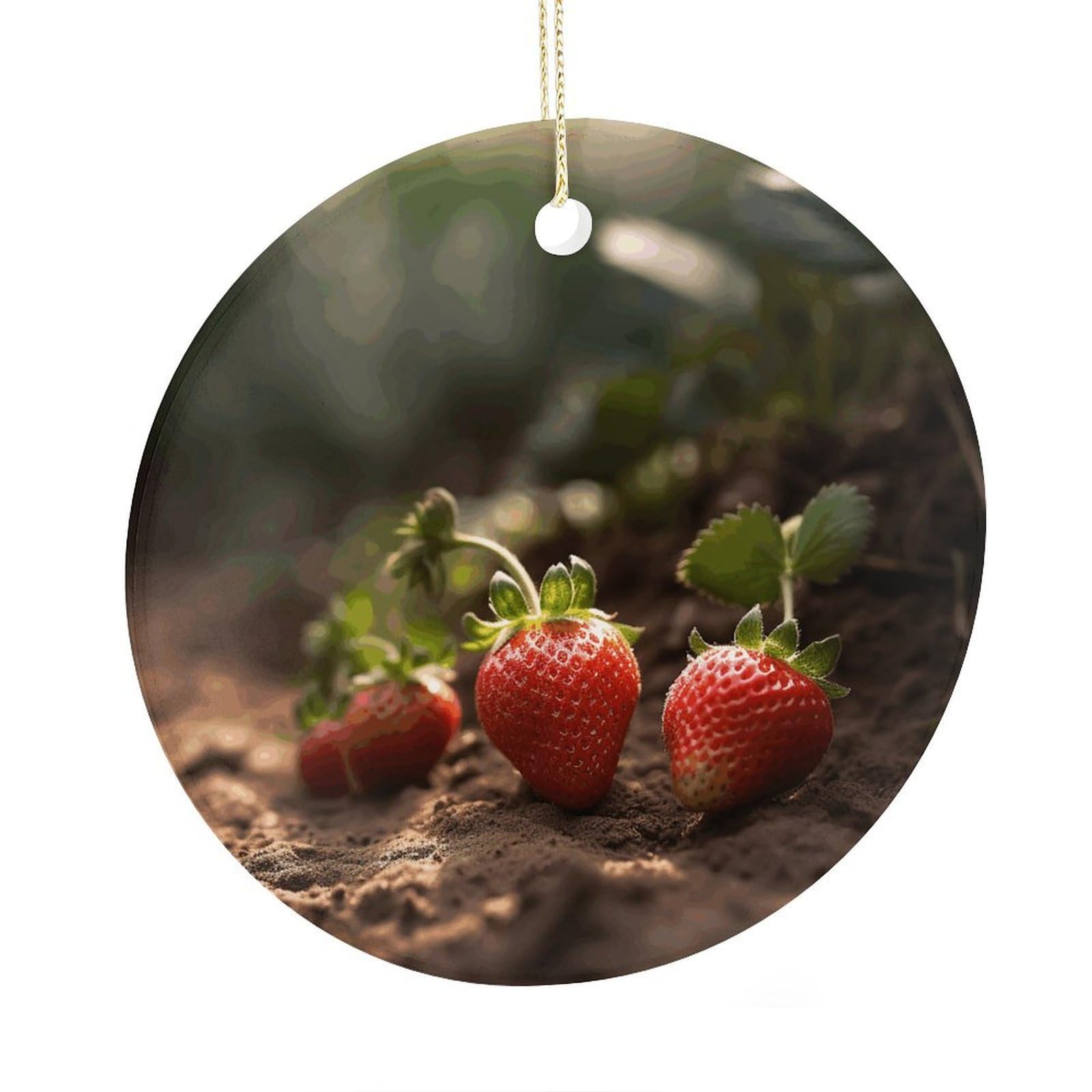 Adfgyerh Style Strawberries In The Soil Ceramic Circular Pendant,2.9 Inch，Hanging Ornament，Gift Exchange Idea Round Ceramic Ornament,For Mom And Daughter，For Home Indoor Outdoor Decor.