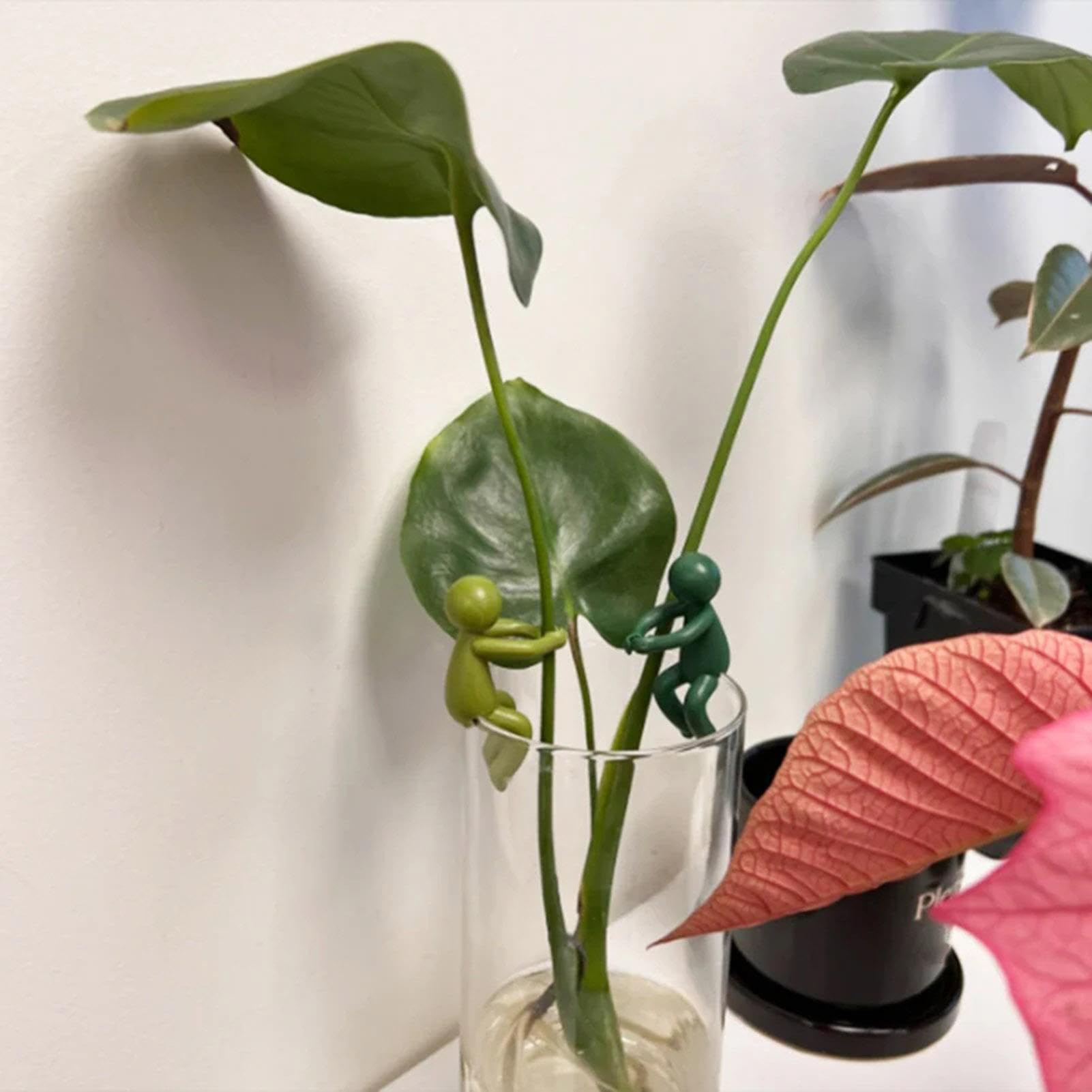 Plant Propagation Buddy – Süße Pflanzenstütze Als Elefant, Grün, Wasserfest (1 Stück)