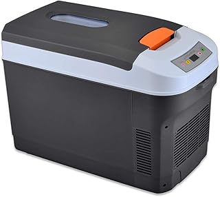 YSXFS Mini Frigo, Système Thermoélectrique Alimenté par Un Mini-réfrigérateur De Voiture 25L(Color:Noir)