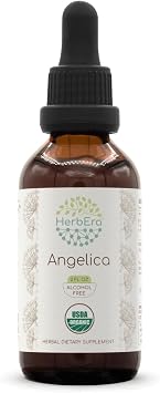 HerbEra Angelica B60 USDA Organic Tincture | Alcohol-Free Extract, High-Potency Herbal Drops | Certified Organic Angelica archangelica Dried Root 2 oz