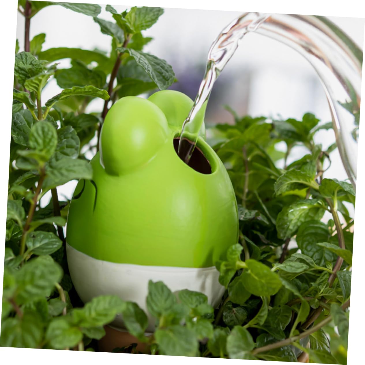 Dispositifs D'arrosage Automatique Forme Grenouille Arrosage Automatique en Céramique Lot de 4 140 ML Réutilisable pour Plantes en Pot pour Pot de Fleurs