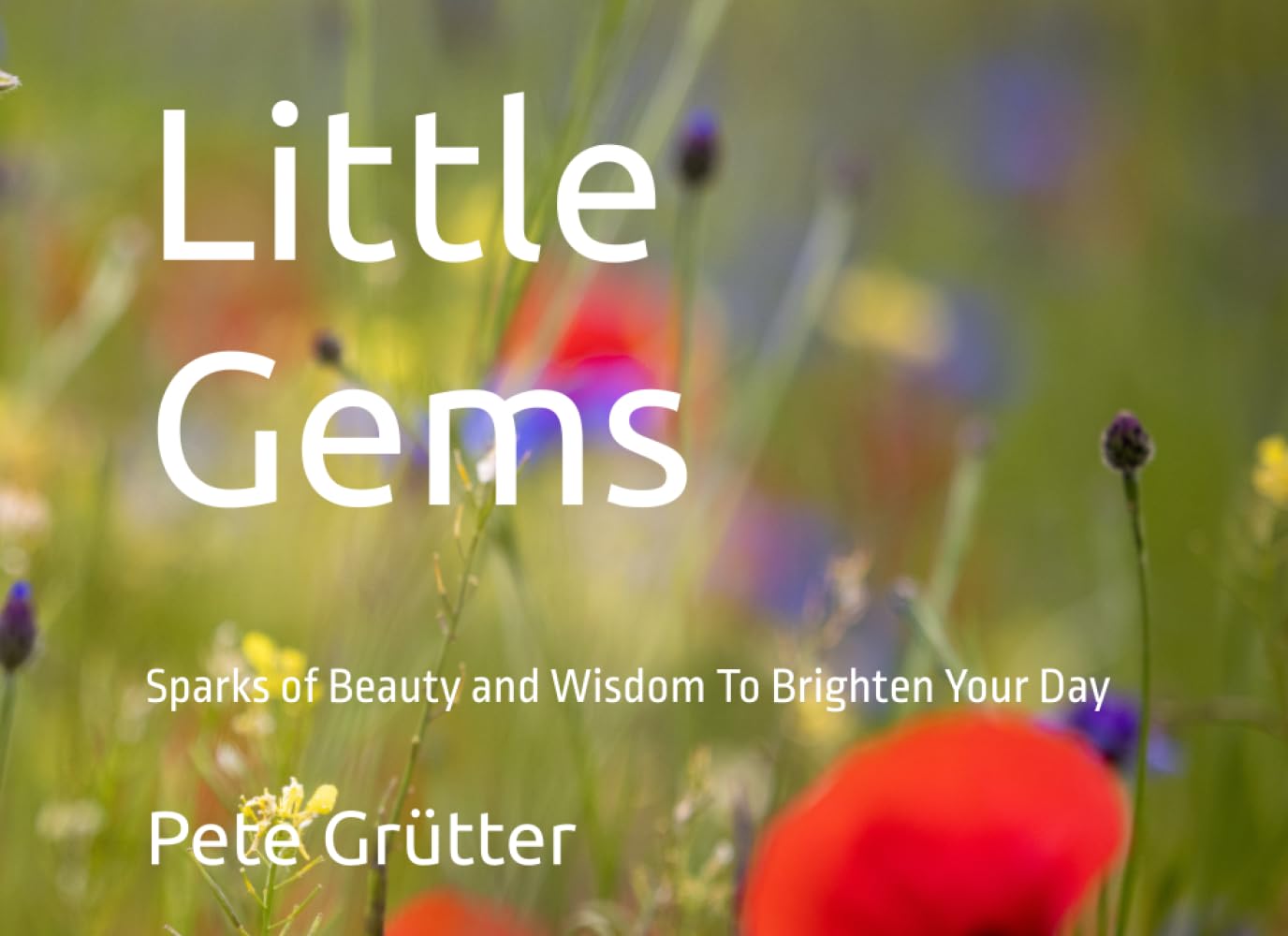 Little Gems: Sparks of Beauty and Wisdom To Brighten Your Day, Motivational Quotes to Help You | With Beautiful Nature Images From Around the World | ... Coffee Table Book Gift For Family and Friends