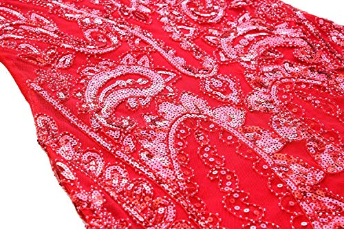Image of Women 1920s Gatsby Vintage Sequin Flapper Fringe Party Plus Dress with 20s Accessories Set