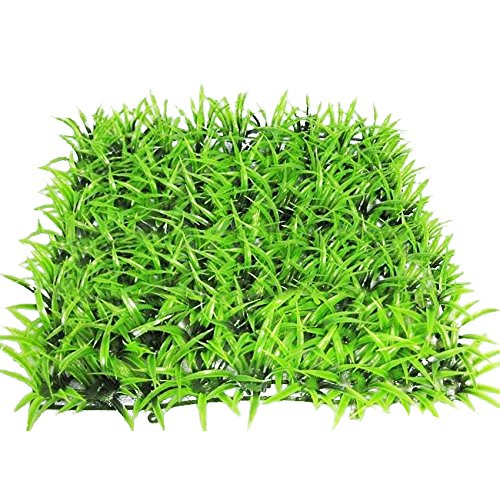 Buy Aqua Geek Aquarium Grass Leaves Plant Mat Online at Low Prices in