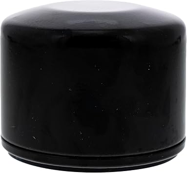 CUB CADET 490-950-C063 Maintenance Kit for Kawasaki FR FS Engines RZT