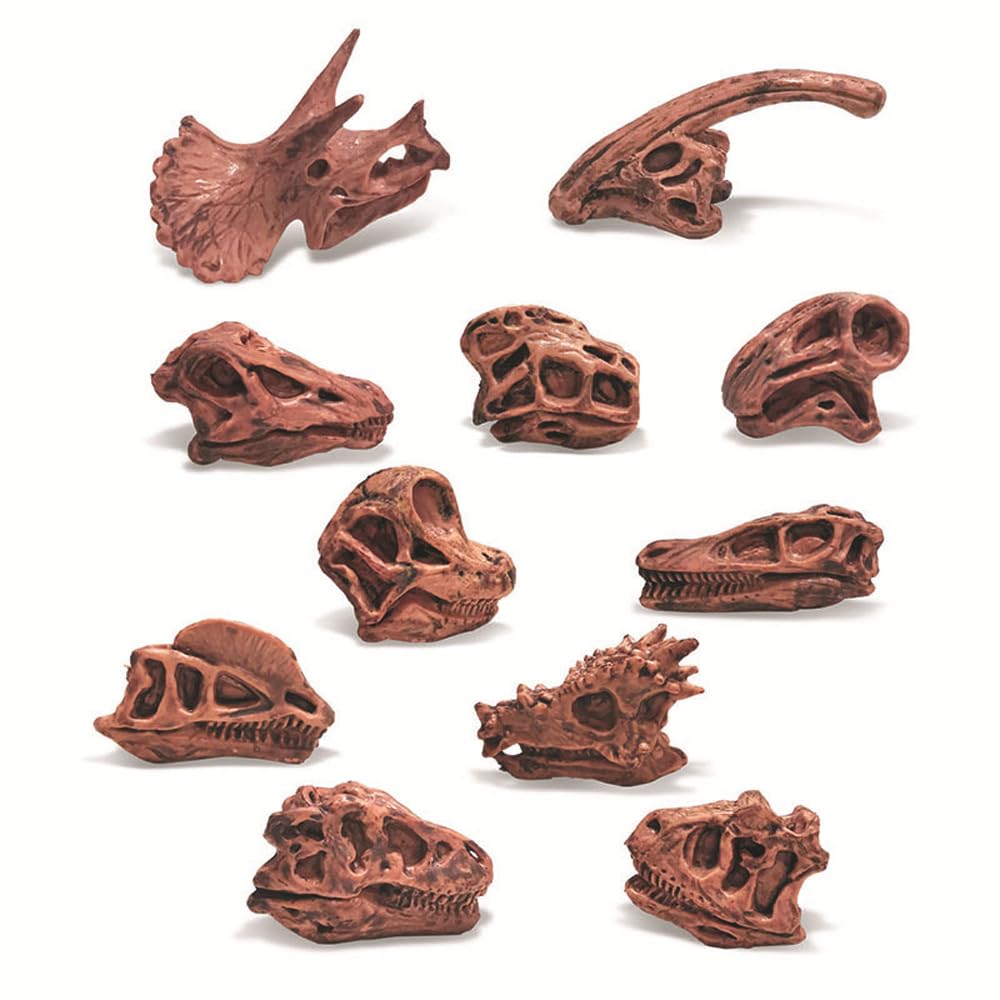 11CPS Mini szkielet g?owy dinozaura, prehistoryczna czaszka zwierz? piaskownica g?owa dinozaura model zestaw - br?zowy